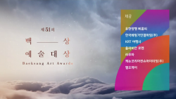 Baeksang Arts Awards cover